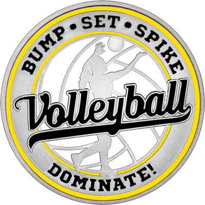 Black "Volleyball" with Yellow Outer Circular Borders